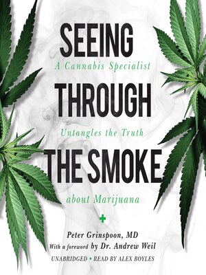 Seeing through the Smoke - Audiobook
